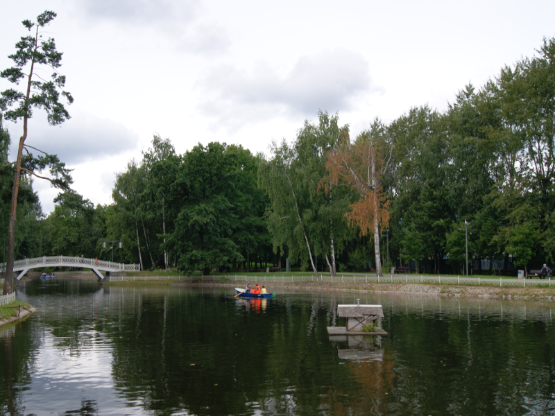 Sample Image 1